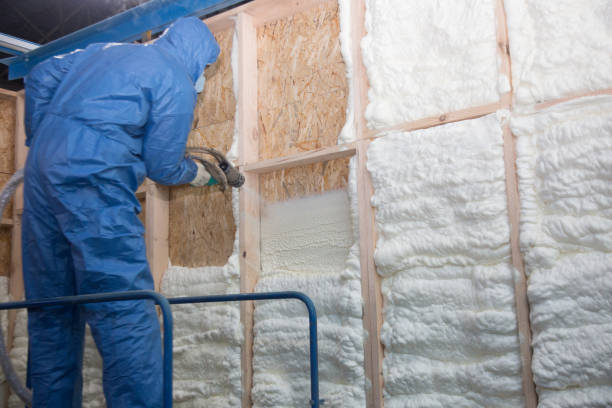 Best Crawl Space Insulation  in West Milton, OH